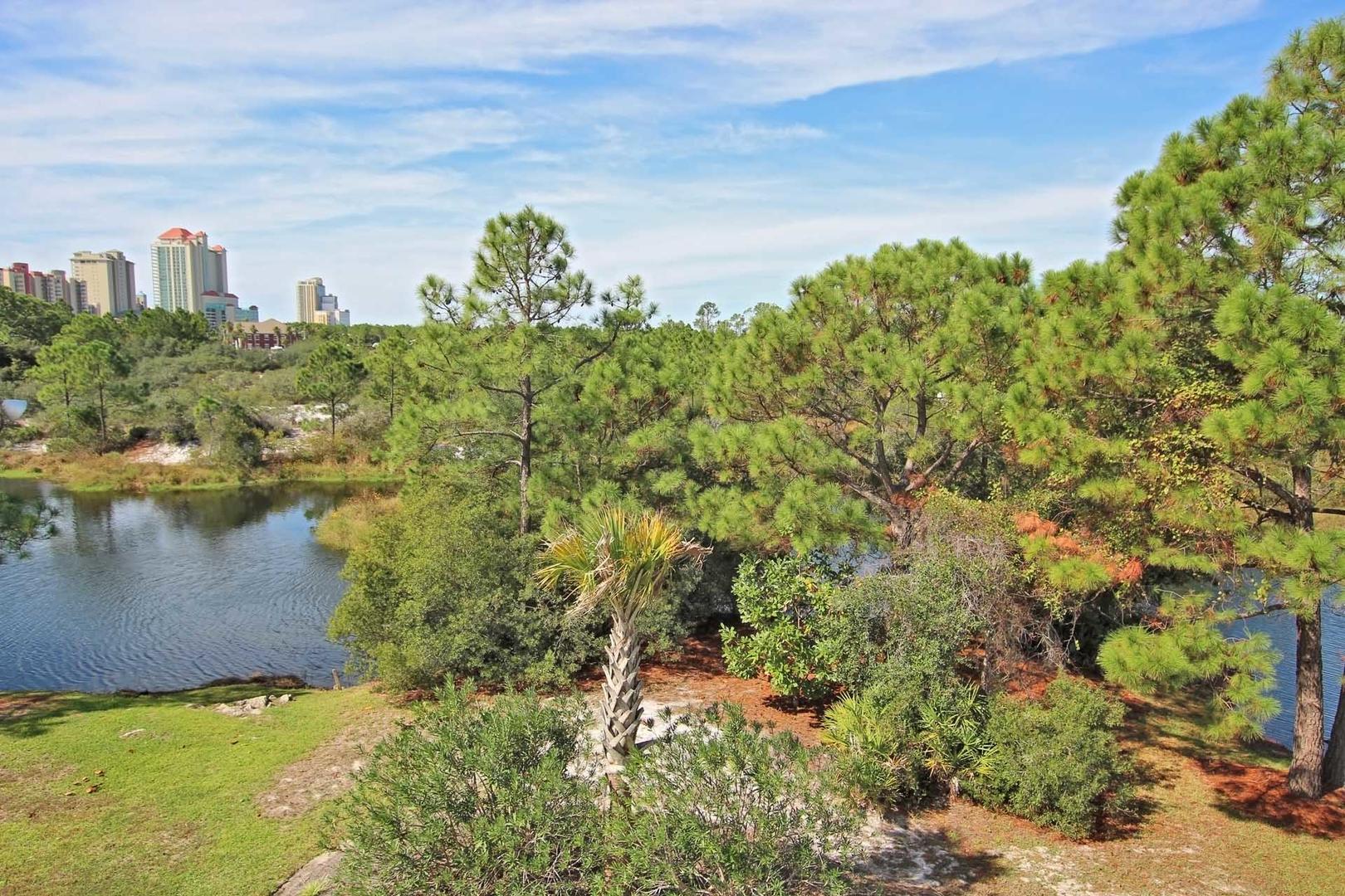 Alabama Beach Areas Condo 992861