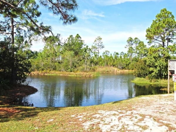 Alabama Beach Areas Condo 992861