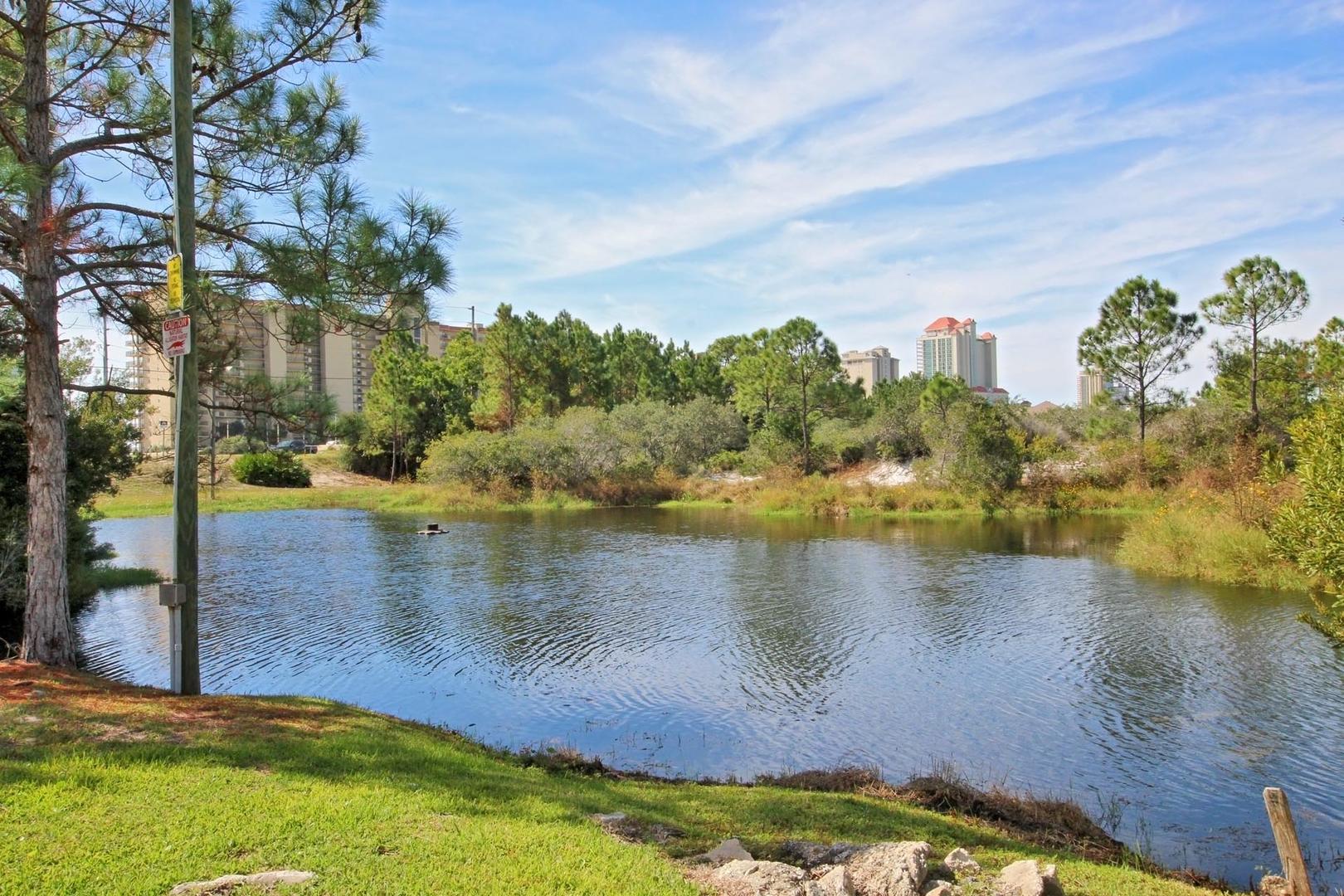 Alabama Beach Areas Condo 992861