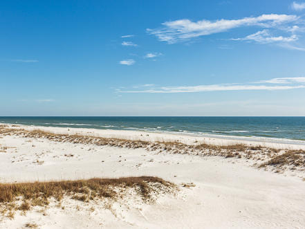 Alabama Beach Areas Home 992867