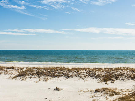 Alabama Beach Areas Home 992867