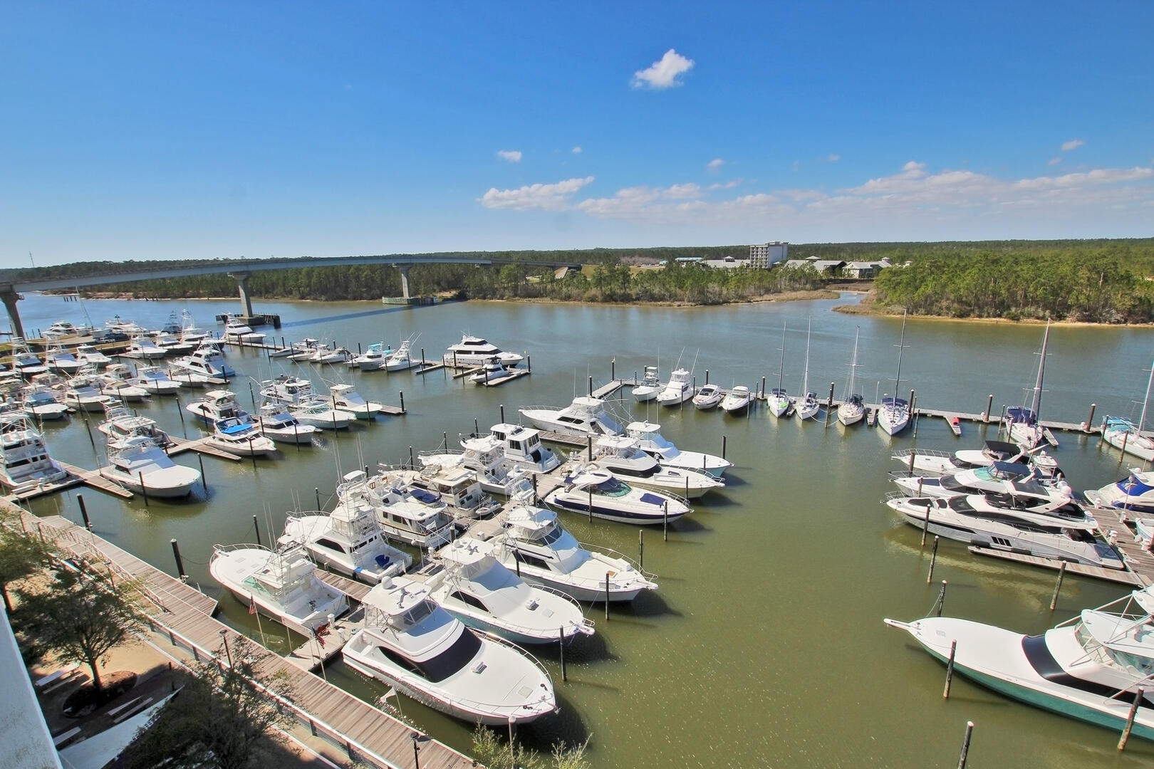 Alabama Beach Areas Condo 992875