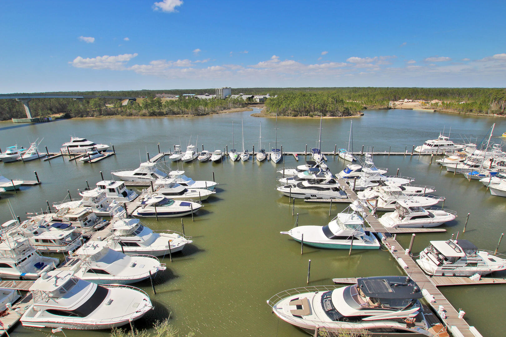 Alabama Beach Areas Condo 992875
