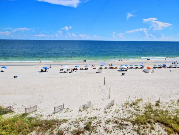 Alabama Beach Areas Condo 992878