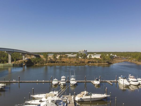 Alabama Beach Areas Condo 992883