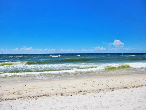 Alabama Beach Areas Condo 992886