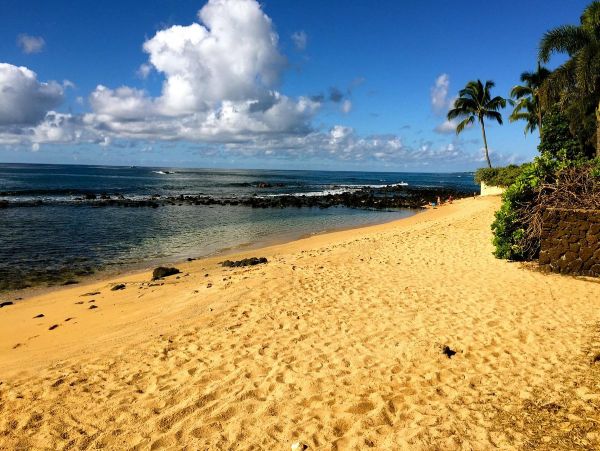 Kauai Vacation Rental Luxury 4-Bedroom Home with Pool & Ocean Views