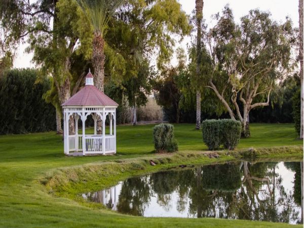 Palm Desert Home 992956