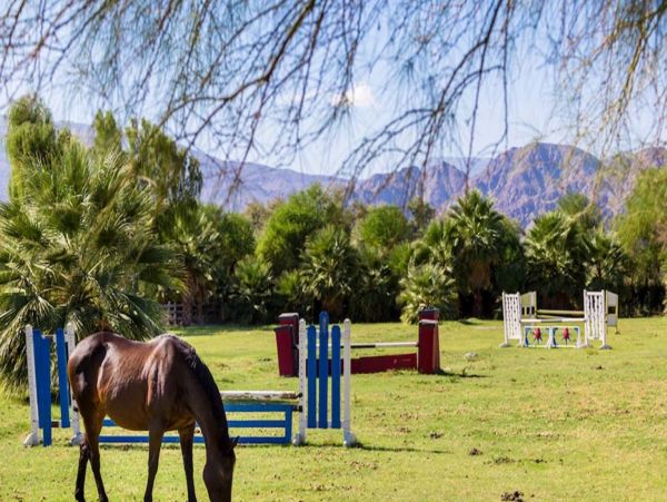 Palm Desert Home 992964