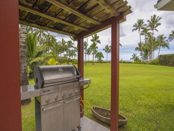Hanalei Home 993046