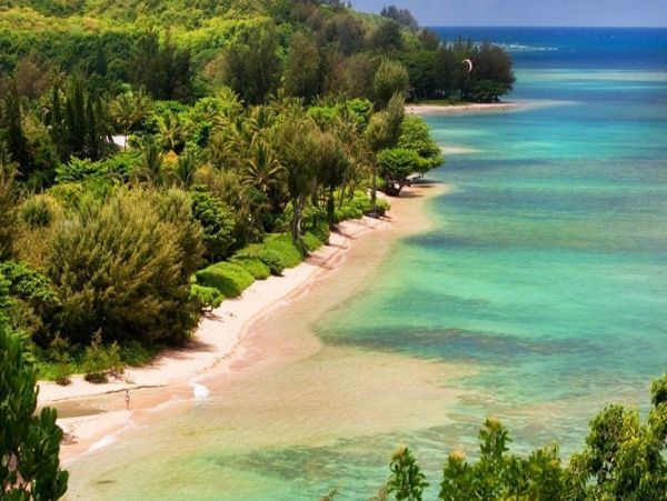 Hanalei Home 993050