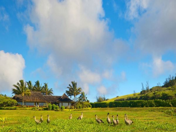 Hanalei Home 993051