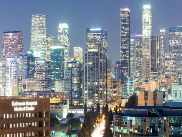 Los Angeles Home 993075