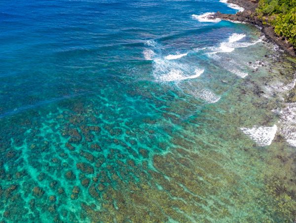 Kauai Luxury Vacation Rental - Princeville Oceanfront Condo