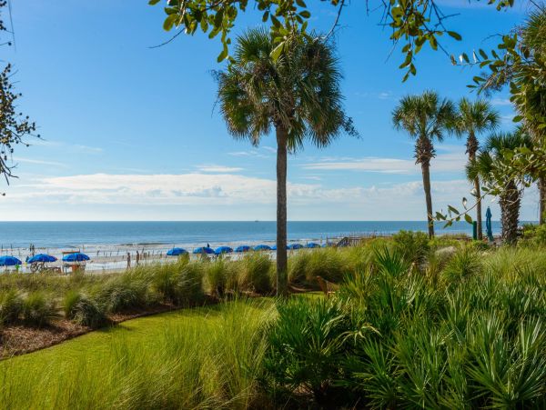 Hilton Head Oceanfront Vacation Rental - South Carolina Beach House Rental with Pool