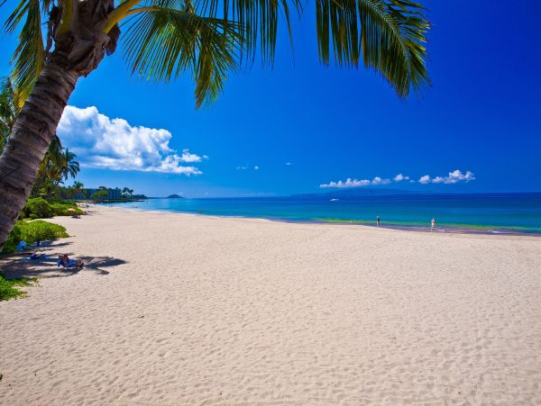 Wailea Vacation Condo Walk to Beach With Communal Pool