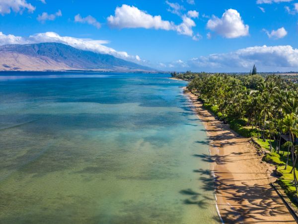 Wailea Vacation Condo Walk to Beach With Communal Pool