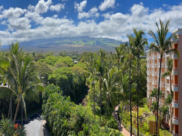 Wailea Vacation Condo Walk to Beach With Communal Pool