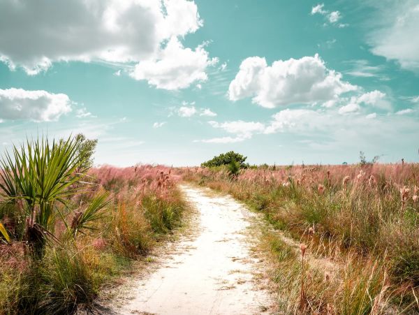 Walk to Beach Beautiful Vacation Home in Siesta Key