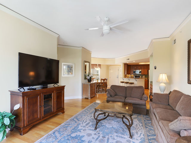 Hilton Head Condo 993242