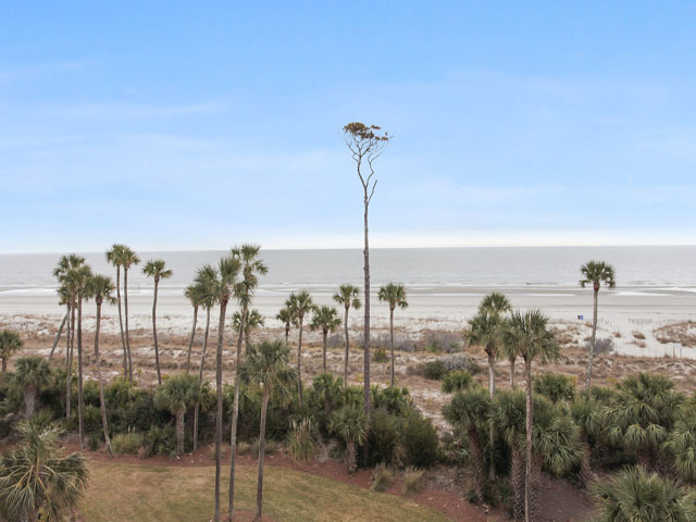 Hilton Head Condo 993256