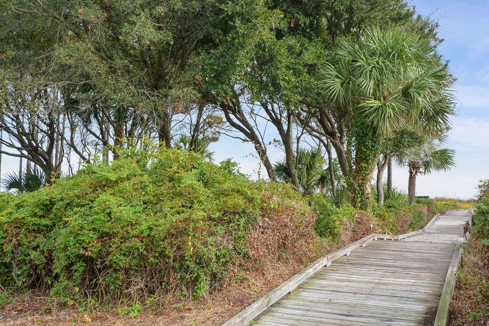Hilton Head Vacation Rental Sleeps Eight Guests