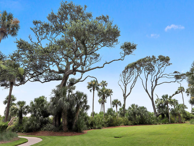 Hilton Head Condo 993267