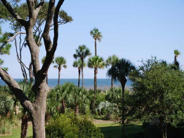 Hilton Head Condo 993269