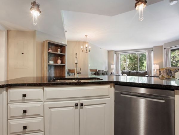 Hilton Head Condo 993279