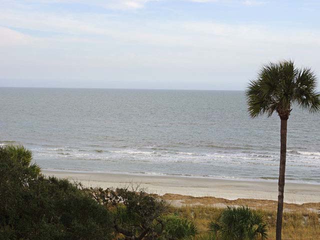 Hilton Head Condo 993281