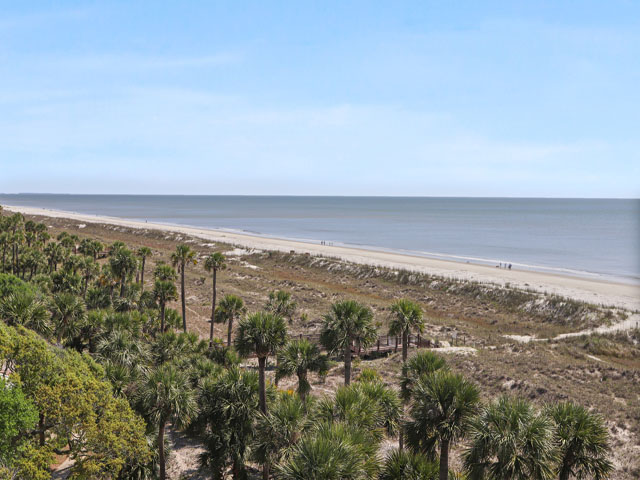 Hilton Head Condo 993284