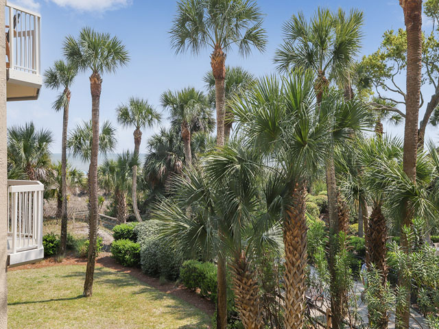 Hilton Head Condo 993285