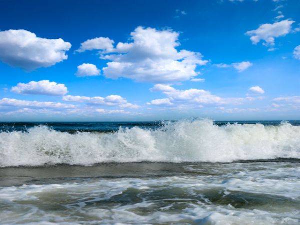 Hilton Head Condo 993286