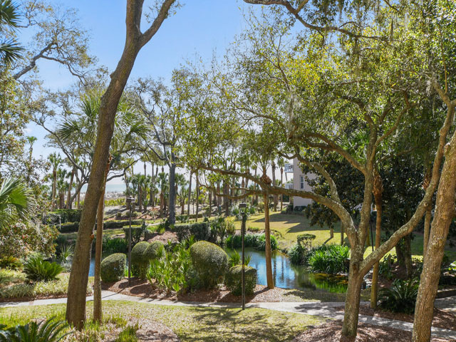 Hilton Head Condo 993287