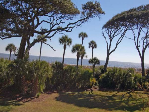 Hilton Head Condo 993303