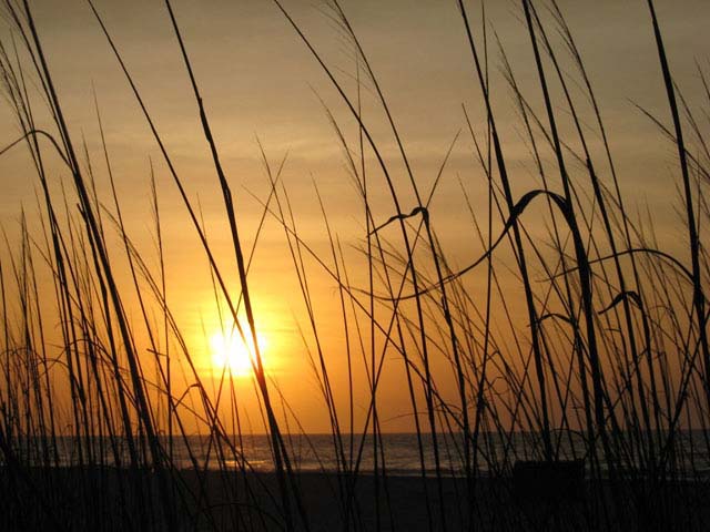 Hilton Head Condo 993303