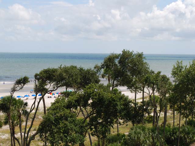 Hilton Head Condo 993305