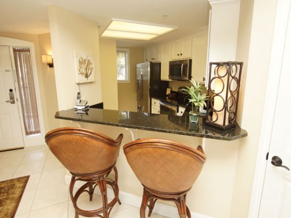 Hilton Head Condo 993306