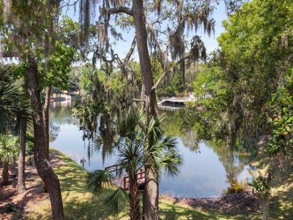 Hilton Head Home 993312
