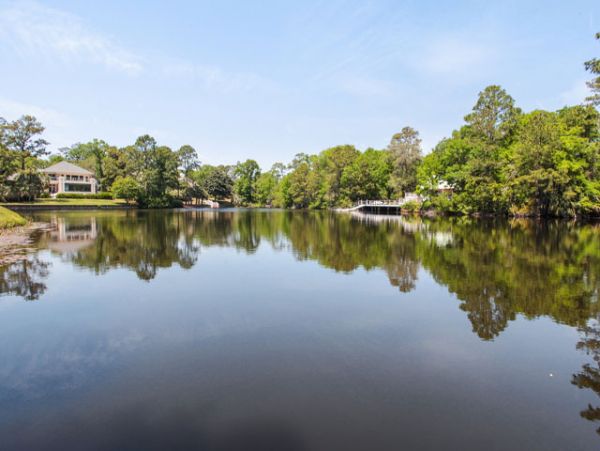 Hilton Head Home 993312