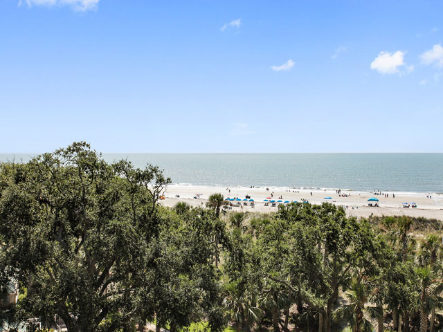 Hilton Head Condo 993316