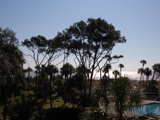 Hilton Head Condo 993319