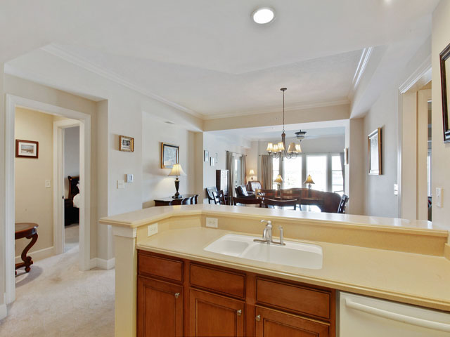Hilton Head Condo 993334