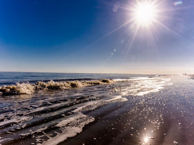Hilton Head Condo 993342