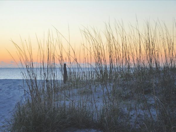 Hilton Head Condo 993342