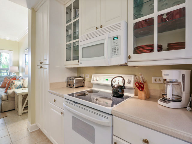 Hilton Head Condo 993343