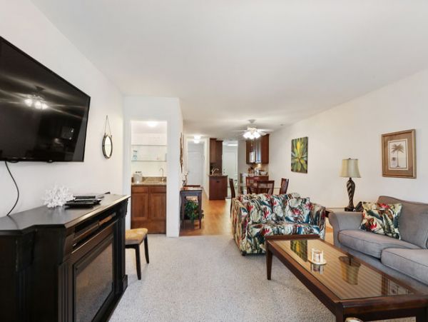 Hilton Head Home 993347