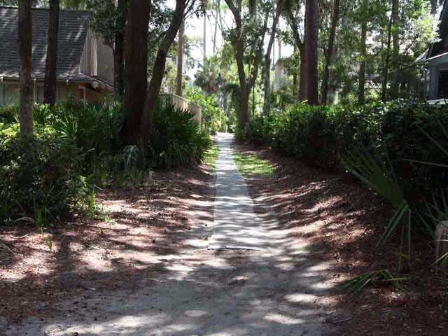 Hilton Head Home 993354