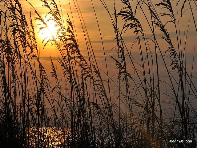 Hilton Head Home 993354