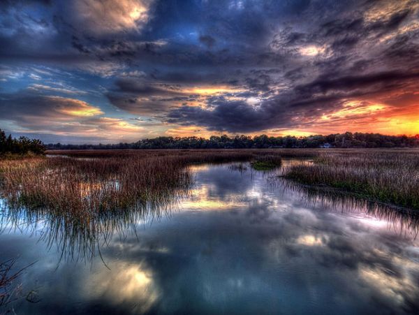 Hilton Head Home 993354